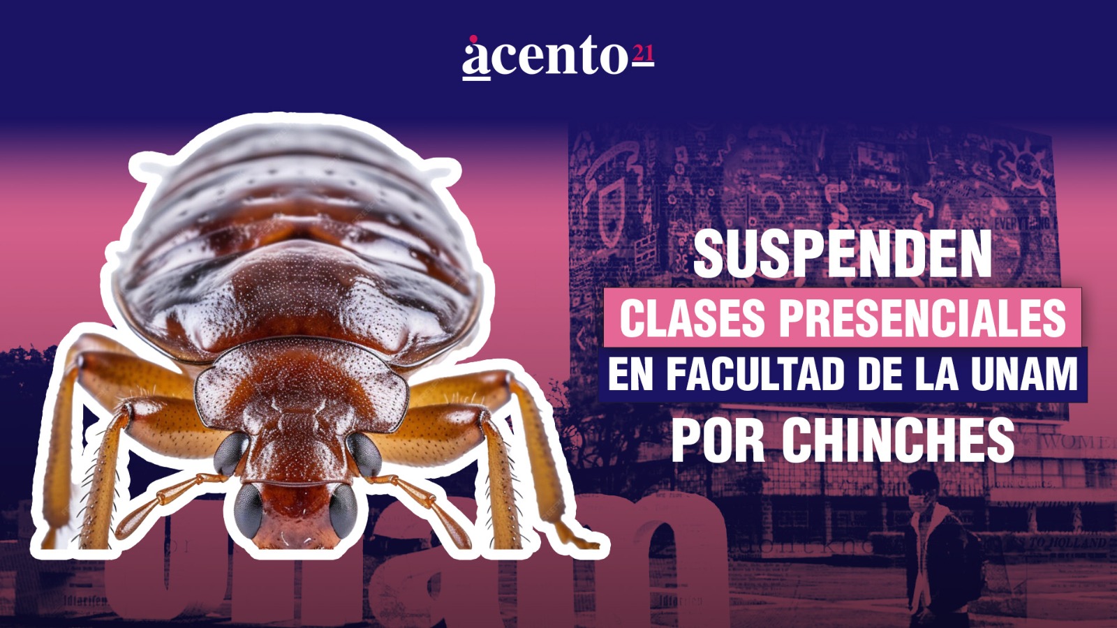 Suspenden clases presenciales en facultad de UNAM por chinches