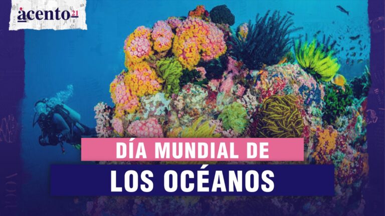 Hoy se celebra el Día Mundial de los Océanos