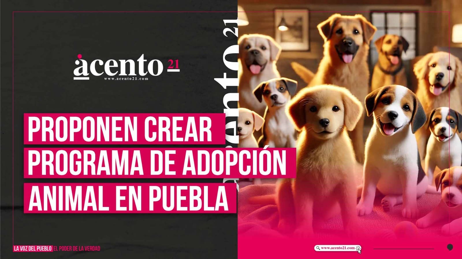 Adopción Animal