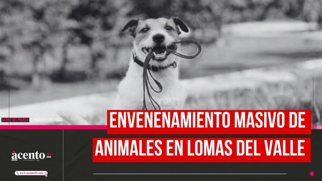 Envenenamiento masivo de animales en Lomas del Valle