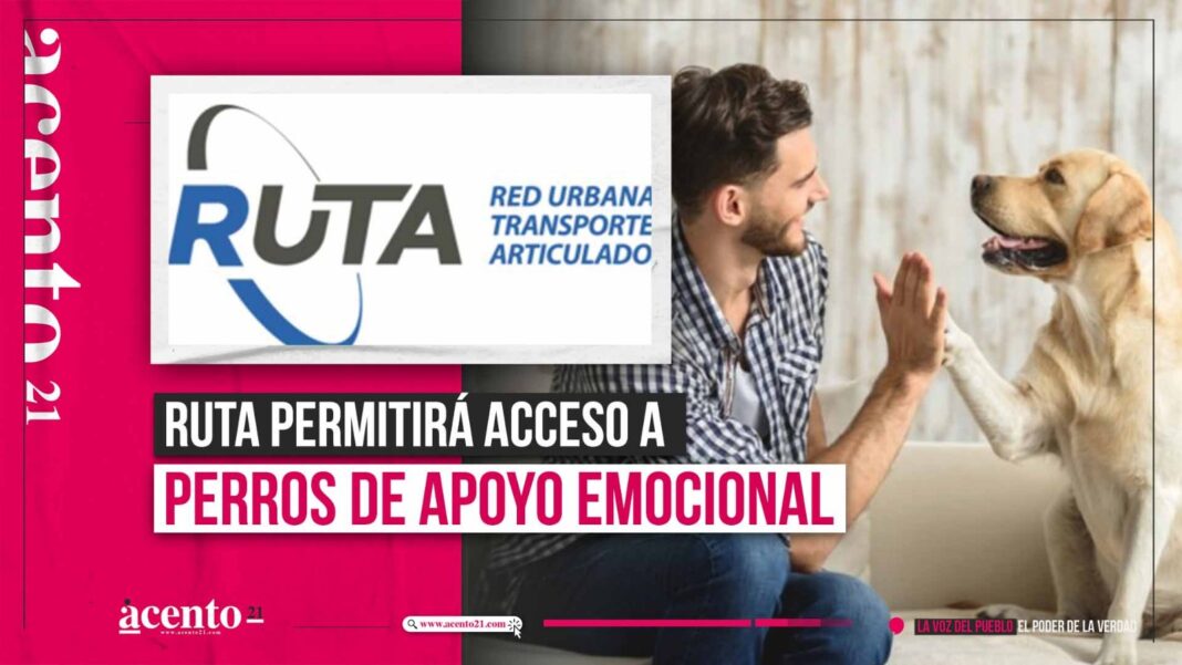 RUTA y perros de apoyo