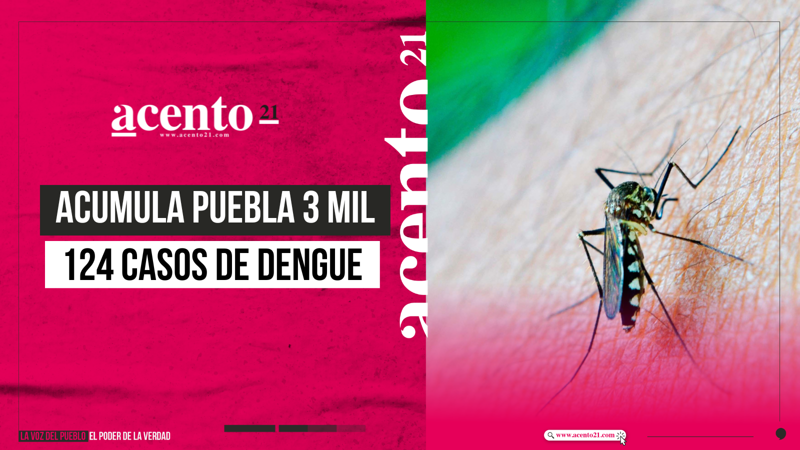 Acumula Puebla 3 mil 124 casos de dengue en 2024: Salud