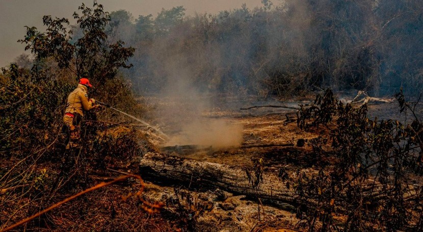 Brasil enfrenta sequía histórica con incendios descontrolados