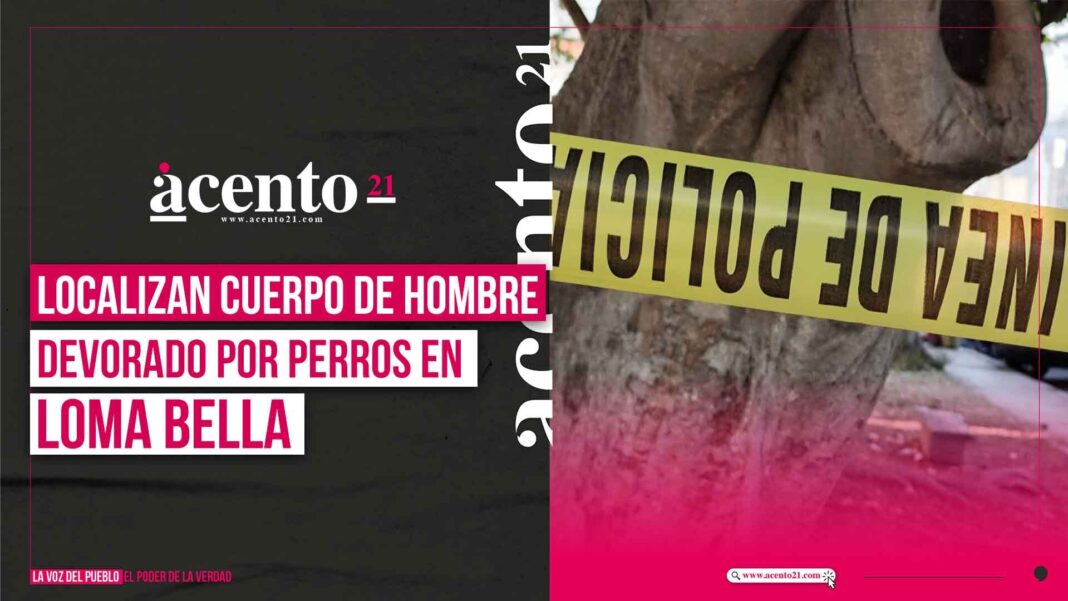 Localizan cuerpo de hombre devorado por perros en Loma Bella