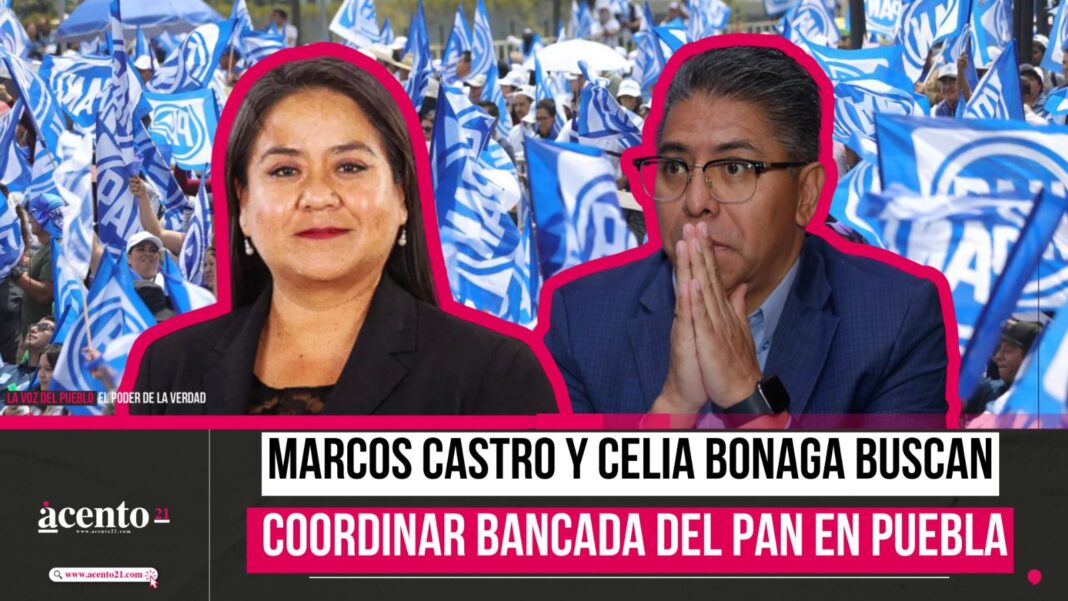 Marcos Castro y Celia Bonaga buscan coordinar bancada del PAN