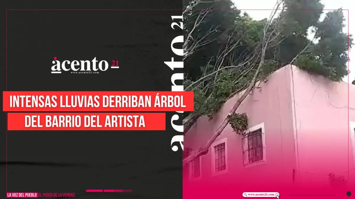 Intensas lluvias derriban árbol del Barrio del Artista de Puebla