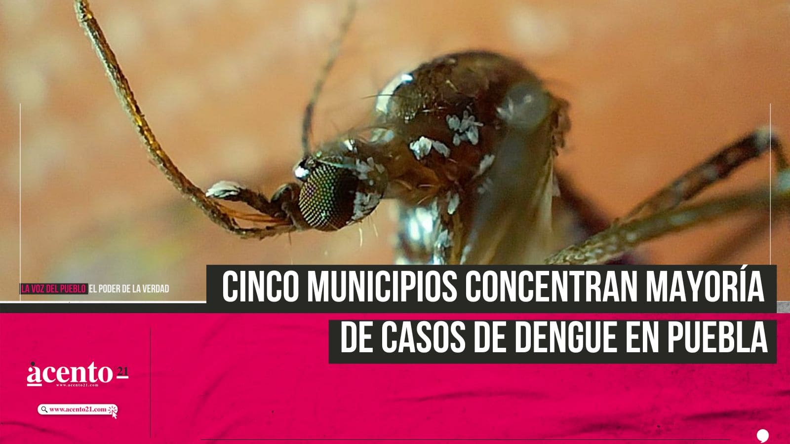 Cinco municipios concentran el 57.3% de casos de dengue