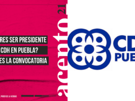 ¿Quieres ser presidente de la CDH en Puebla Esta es la convocatoria