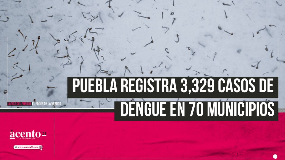 70 municipios de Puebla registran casos de dengue Salud