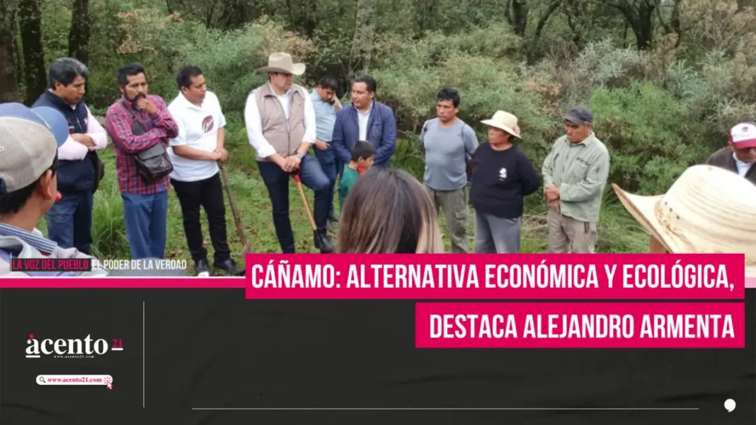 Cáñamo: alternativa económica y ecológica, destaca Alejandro Armenta