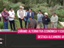 Cáñamo: alternativa económica y ecológica, destaca Alejandro Armenta