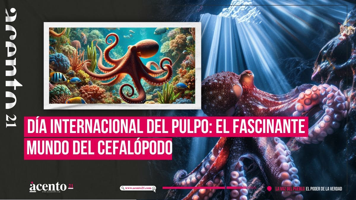 Día Internacional del Pulpo y su increíble inteligencia