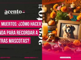 Día de muertos ¿Cómo hacer una ofrenda para tus mascotas