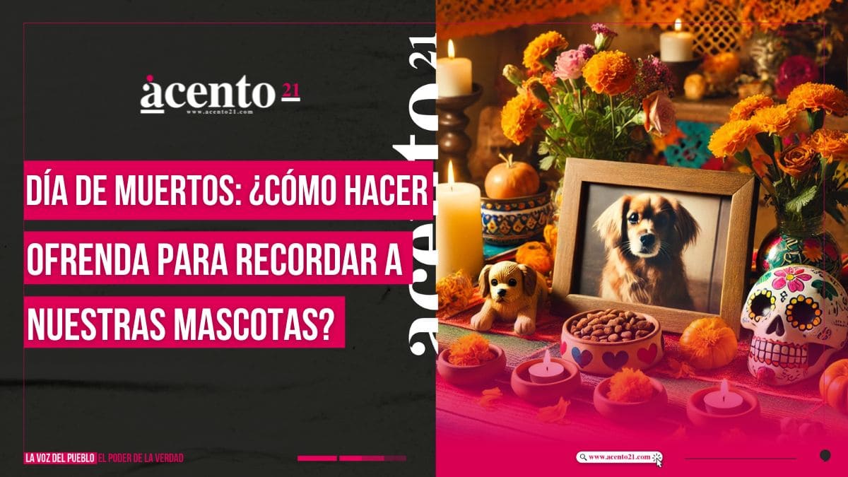 Día de muertos ¿Cómo hacer una ofrenda para tus mascotas