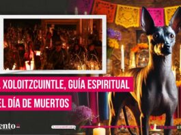 El Xoloitzcuintle y su conexión con el Día de Muertos en México