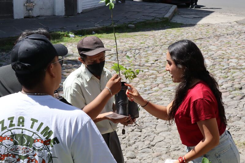 Con jornadas de reforestación, desarrollamos espacios verdes: Armenta