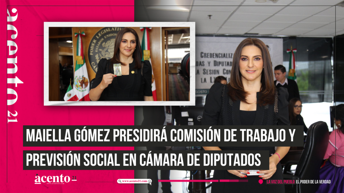 Maiella Gómez presidirá Comisión de Trabajo y Previsión Social en Cámara de Diputados