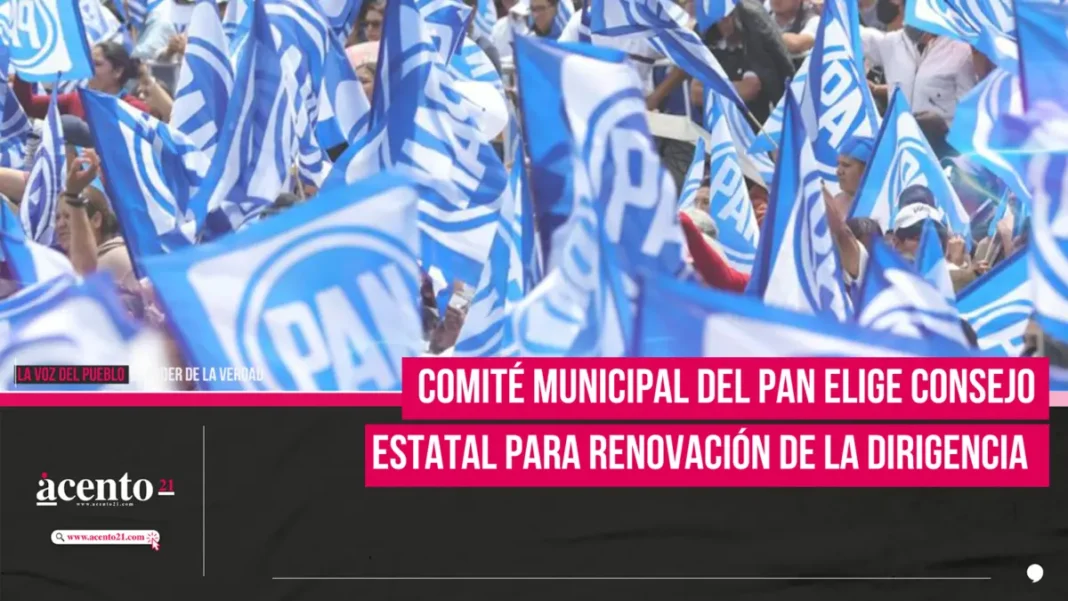 Comité Municipal del PAN elige Consejo Estatal para renovación de la dirigencia