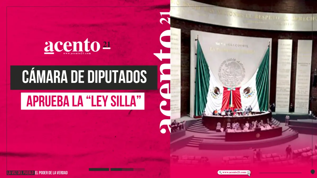 Por unanimidad, diputados aprueban la “Ley Silla”