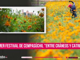 Primer Festival de Cempasúchil Entre Cráneos y Catrinas