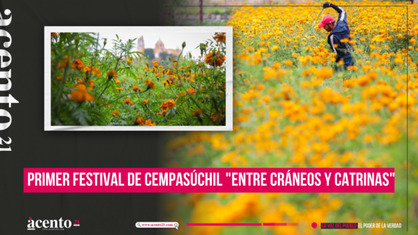 Primer Festival de Cempasúchil Entre Cráneos y Catrinas