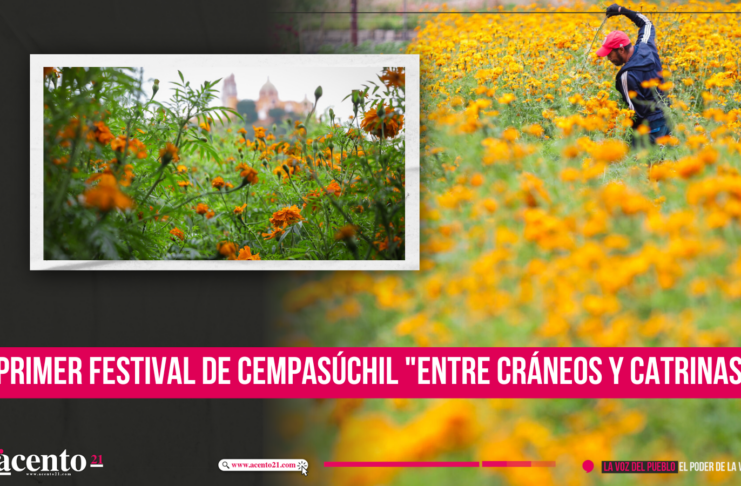 Primer Festival de Cempasúchil Entre Cráneos y Catrinas