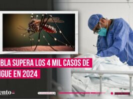 Puebla acumula más de 4 mil casos de dengue en 2024; emiten alertas