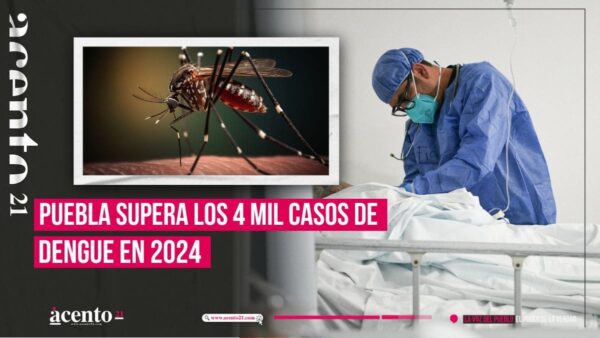 Puebla acumula más de 4 mil casos de dengue en 2024; emiten alertas