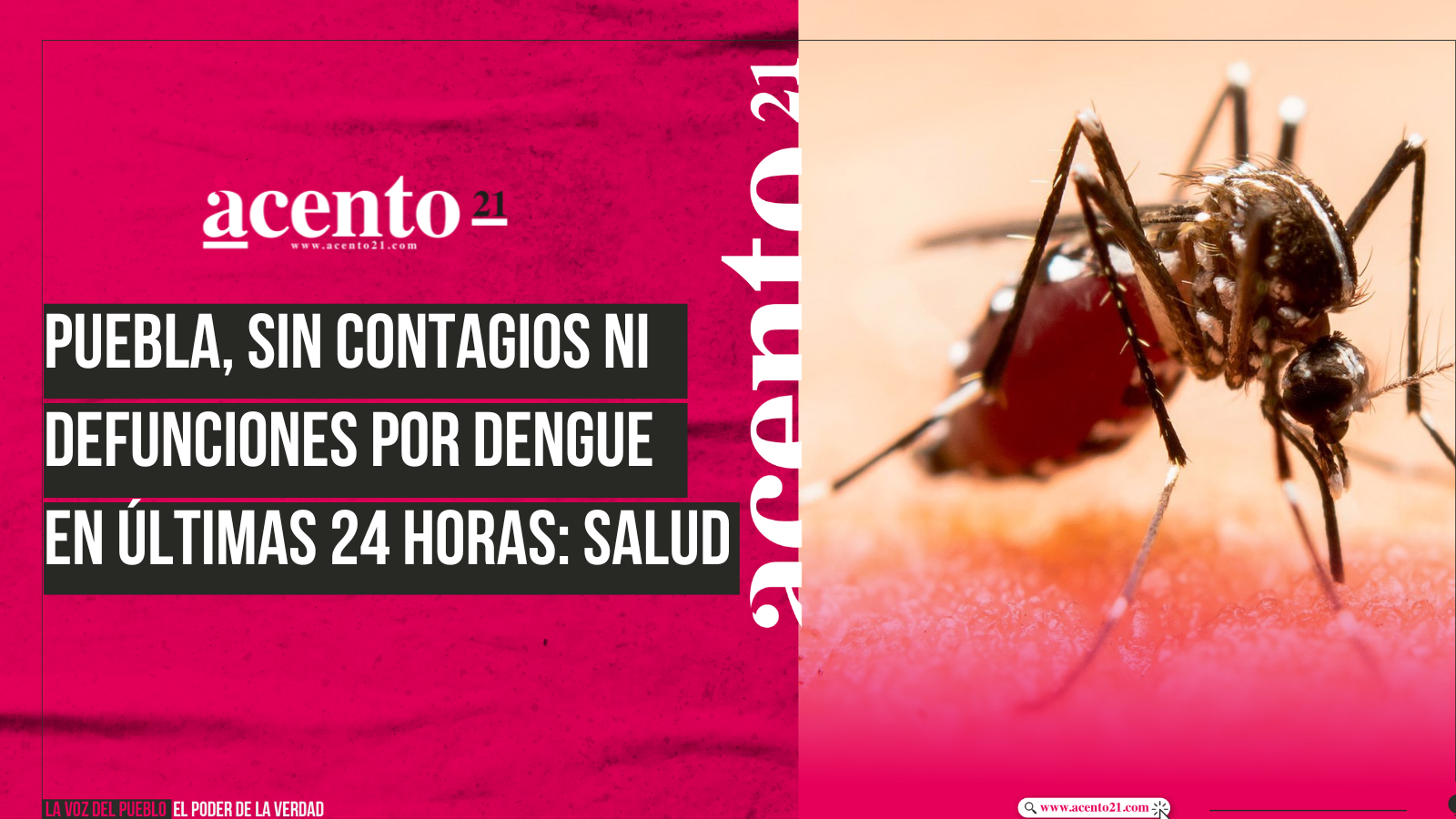 Puebla, sin contagios ni defunciones por dengue en últimas 24 horas Salud