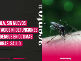 Puebla, sin nuevos contagios ni defunciones por dengue en últimas 24 horas