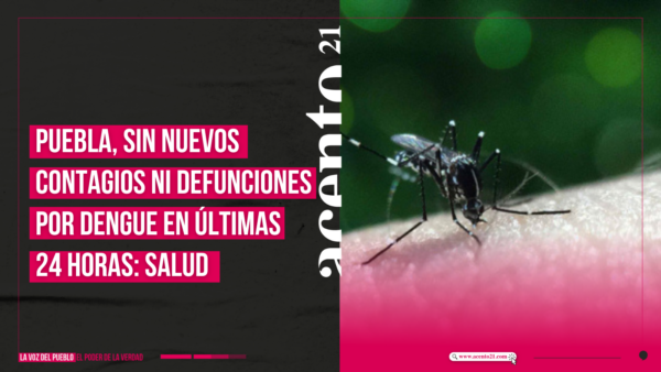 Puebla, sin nuevos contagios ni defunciones por dengue en últimas 24 horas