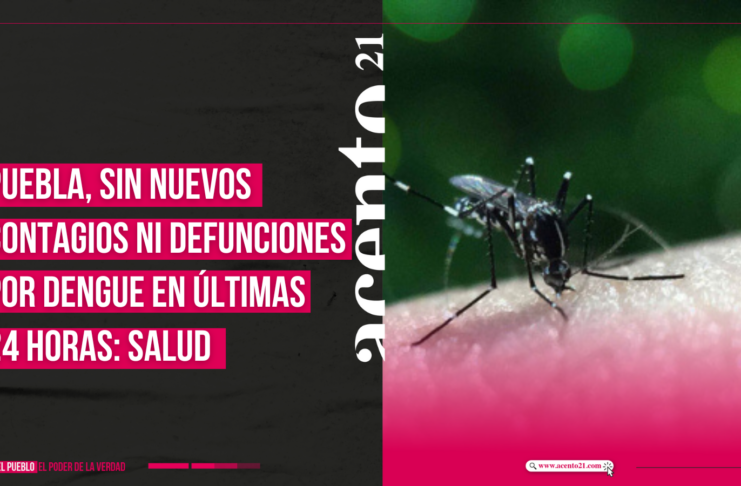 Puebla, sin nuevos contagios ni defunciones por dengue en últimas 24 horas