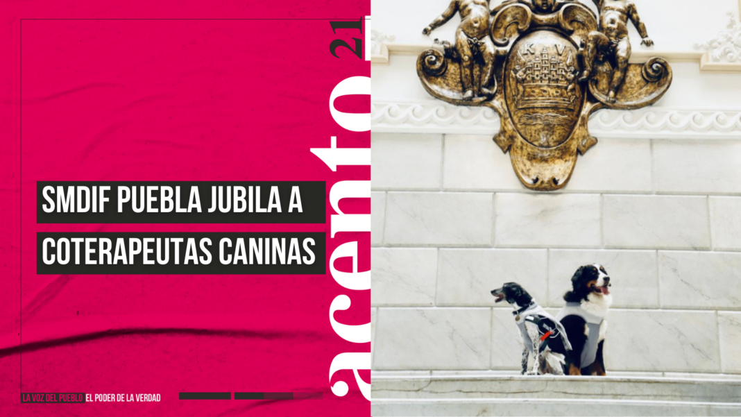 SMDIF Puebla jubila a coterapeutas caninas