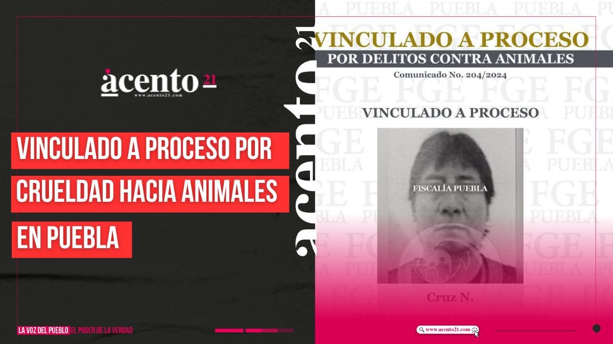 Vinculado a proceso por crueldad hacia animales en Puebla