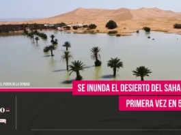 Se inunda el desierto del Sahara por primera vez en 50 años