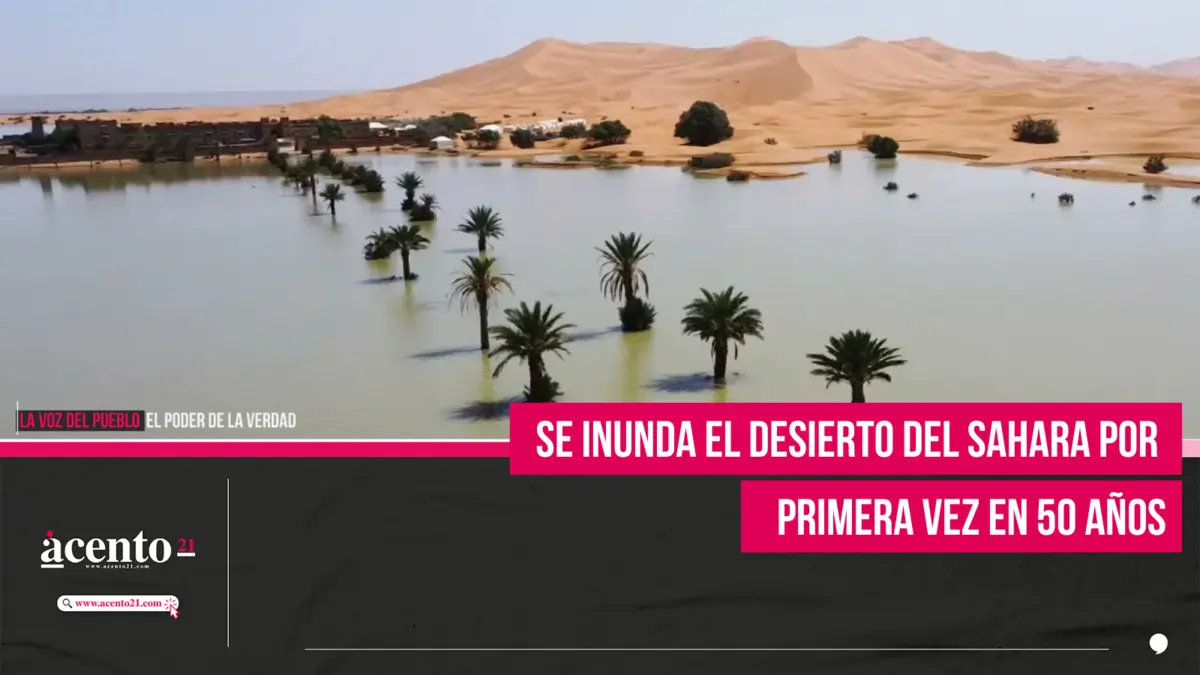 Se inunda el desierto del Sahara por primera vez en 50 años