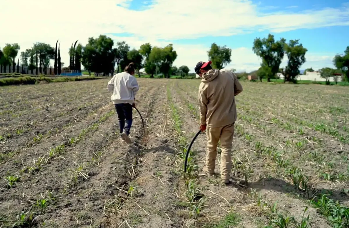 Programa Nacional de Soberanía Alimentaria