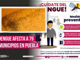 79 municipios de Puebla registran casos activos de dengue