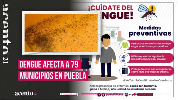 79 municipios de Puebla registran casos activos de dengue