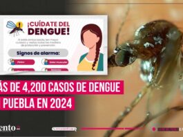 Aumento de casos de dengue en Puebla 2024 preocupante