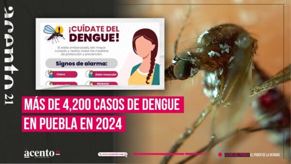 Aumento de casos de dengue en Puebla 2024 preocupante