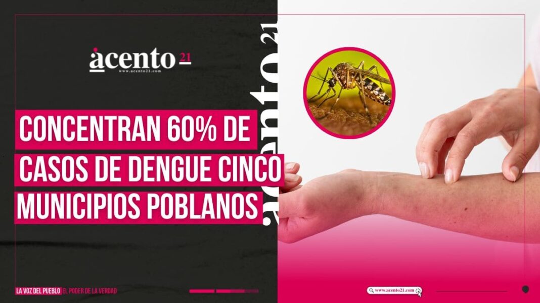 Cinco municipios concentran el 60% de casos de dengue en Puebla