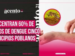 Cinco municipios concentran el 60% de casos de dengue en Puebla