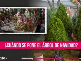 Cuándo se pone el árbol de Navidad