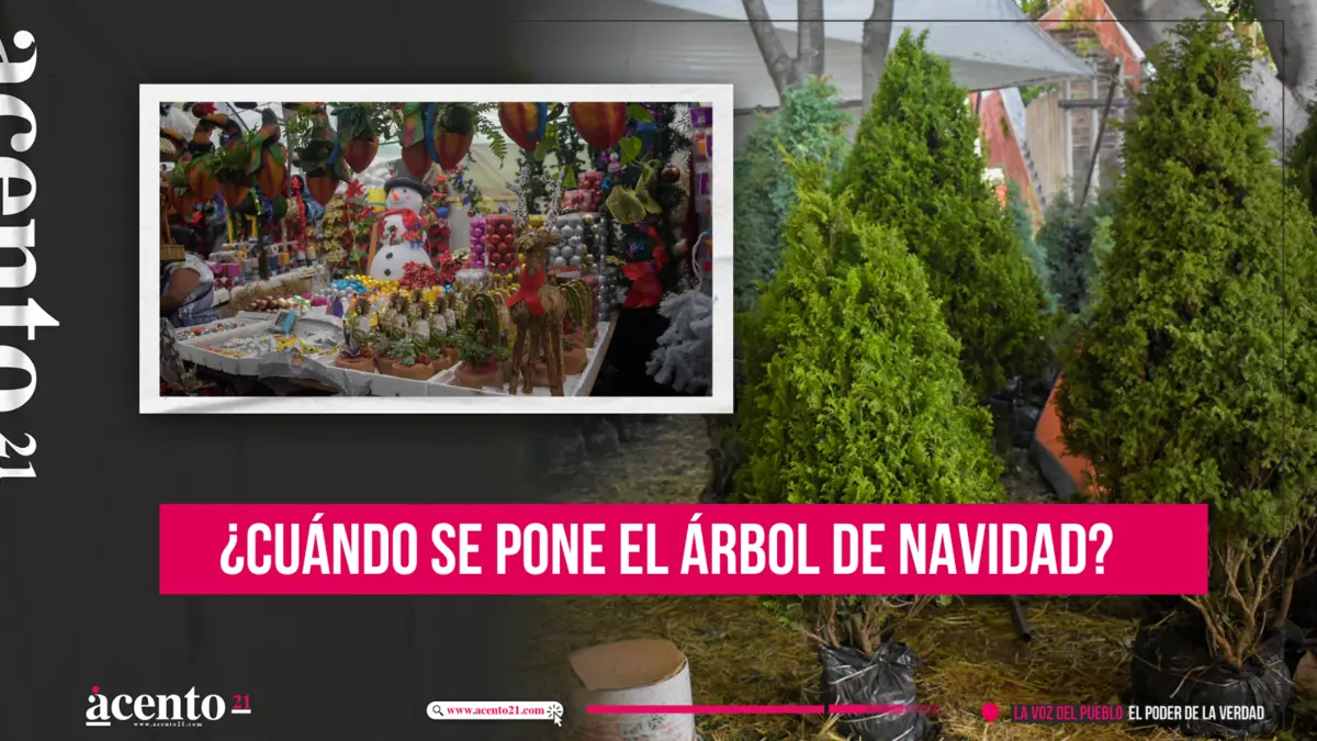 Cuándo se pone el árbol de Navidad