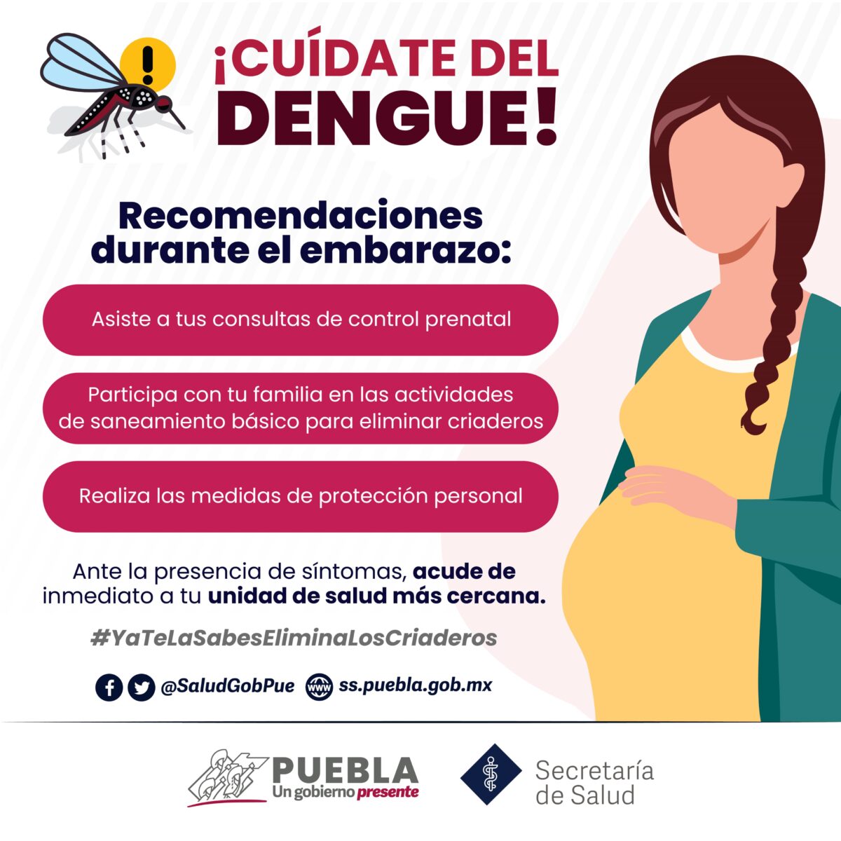 Dengue en Puebla; 80 municipios afectados y 22 casos recientes