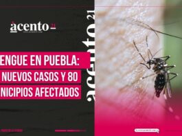 Dengue en Puebla; 80 municipios afectados y 22 casos recientes