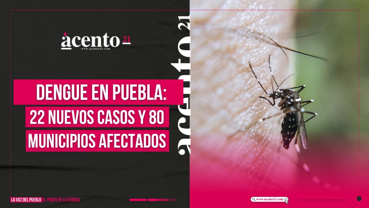 Dengue en Puebla; 80 municipios afectados y 22 casos recientes