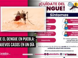 El dengue en Puebla ha aumentado a 43 nuevos contagios en un día