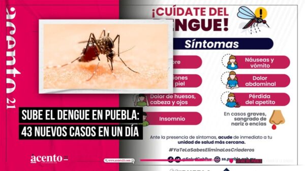 El dengue en Puebla ha aumentado a 43 nuevos contagios en un día